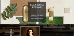 Site Black Turtle Interiors- TLT Performance