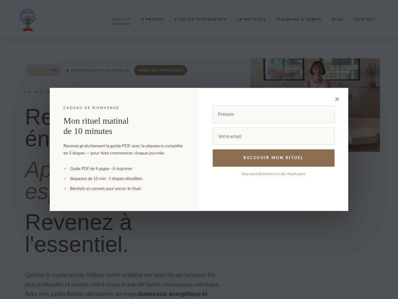 Site internet Yoga Lyd realise par TLT Performance